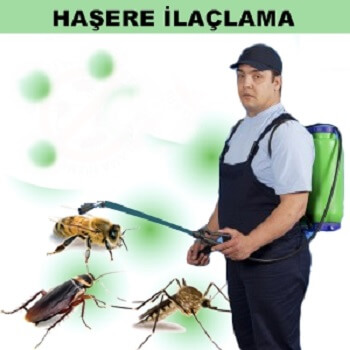 Bayramören Böcek İlaçlama